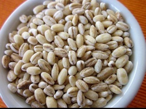Light Brown Barley Grain, For Human Consumption