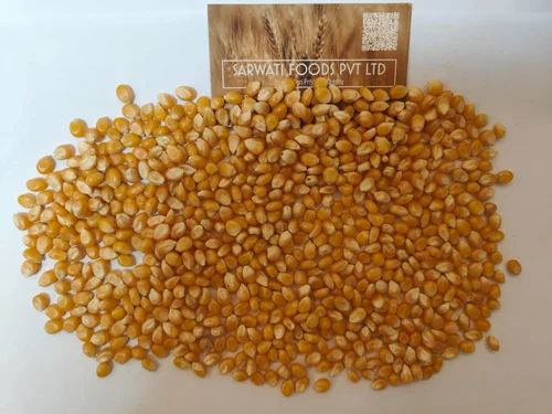 Yellow Butterfly Popcorn Maize Seeds