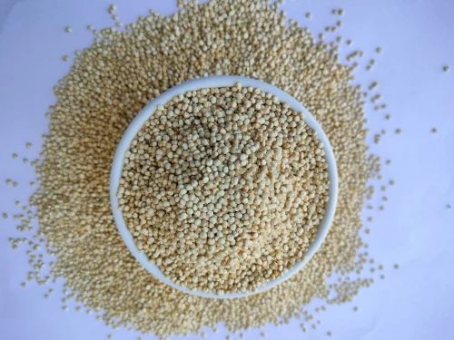 Quinoa White Seeds
