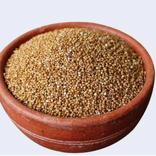 Unpolished Barnyard Millet