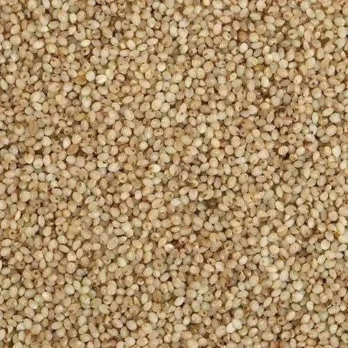 Unpolished Little Millet, Grains