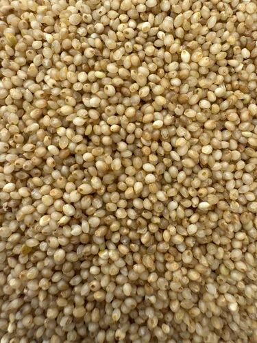 Premium Little Millet Rice (Semi-Polished)
