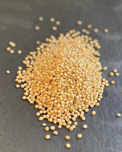 25 Kg Natural Jowar Food Grade Grains