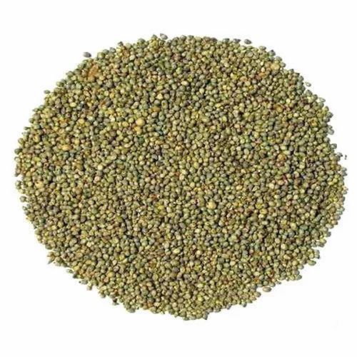 Green Millet Sajjalu, For Food Processing, Organic