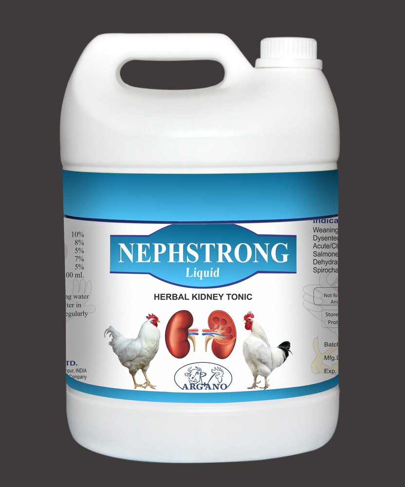Kidney Tonic
