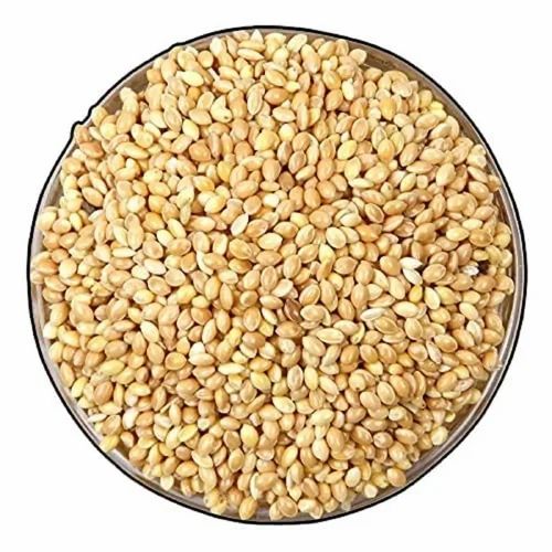 Yellow Millet Seed, Packaging Size: 25 Kg, Whole Grain