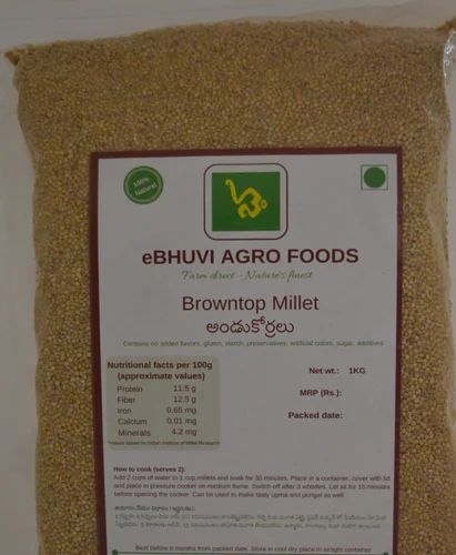 Premium Brown Top Millet Bulk (Unpolished, 30kg/50kg)
