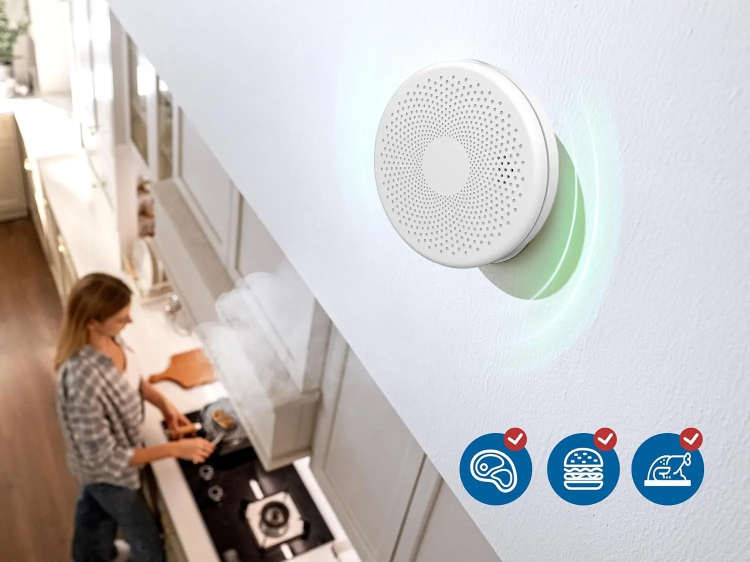 Smoke & Gas Leak Detectors