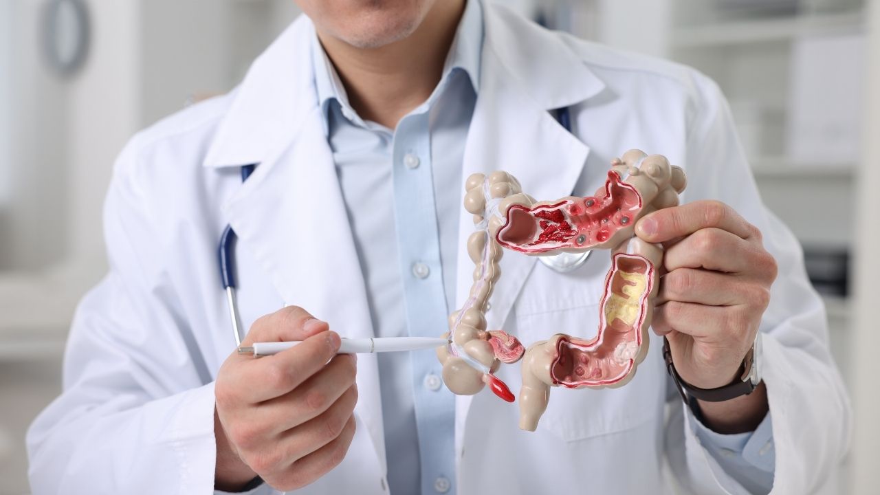 Digestive System Medicines and Drugs