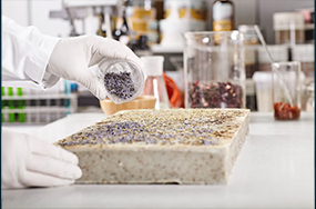Material Testing Labs and Services