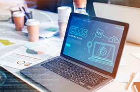 Web Development and Marketing Services