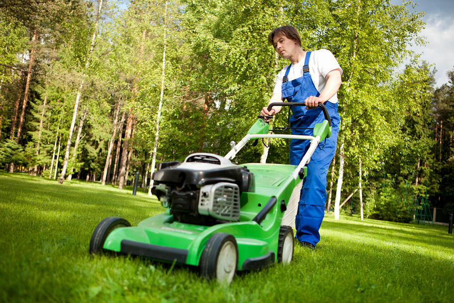 Land Mowers, Gardening & Landscaping Services