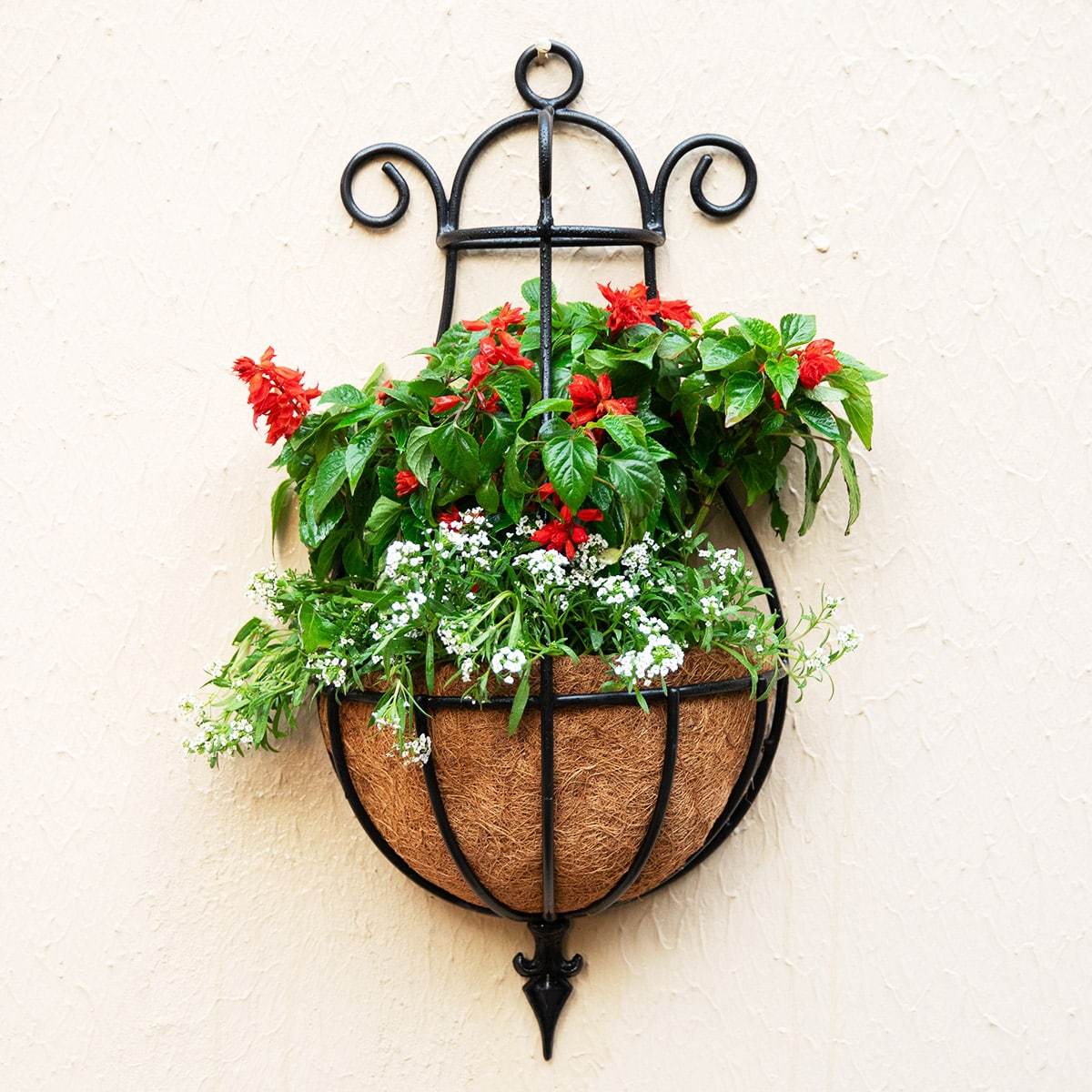 Flower Pots, Garden & Wall Planters