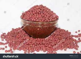 Hybrid Okra Seeds (H-Okra)