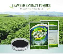 Seaweed Extract Flakes (1 kg)