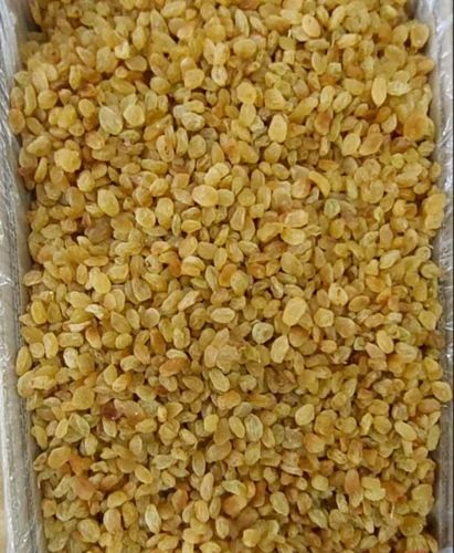 Natural Organic Raisins, Packaging Size: 10kg
