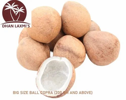 Big Size Coconut Ball Copra, Coconut Size: 200 Gm And Above