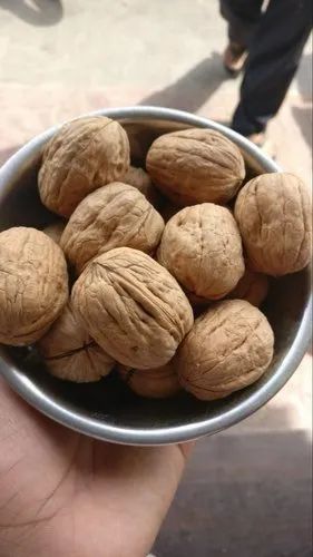 Walnut USA ( Chilli )