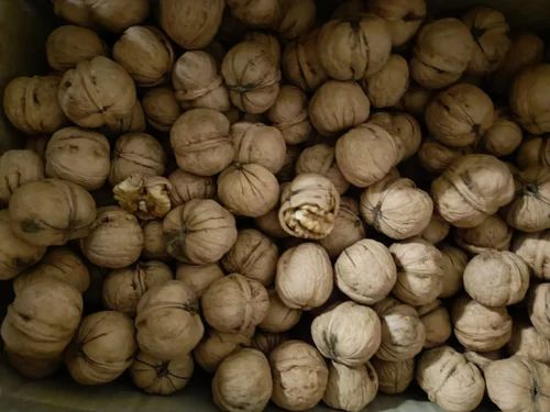 Organic Walnuts, Packaging Size: 1kg