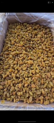 Green Dry Raisins Kishmish, Long