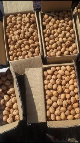 Kashmiri Walnut (Akhrot)
