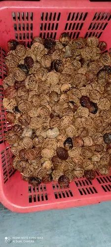 Black Walnuts, Without Shell (Kernels)