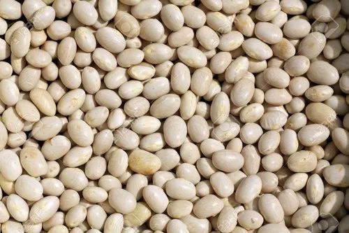 Indian Organic White Soyabean
