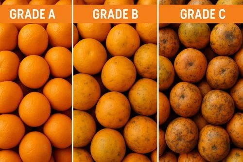 Fresh Kinnow Orange