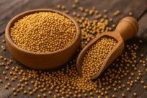 Mustard