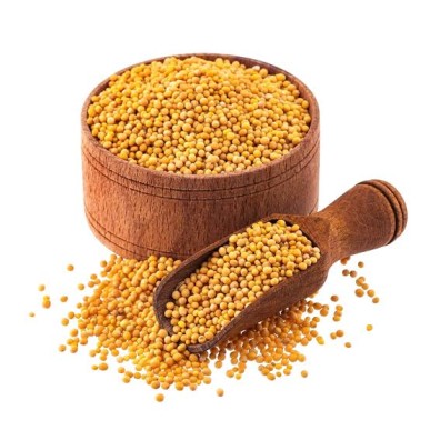  Yellow Mustard