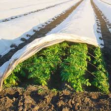 Frost Protection Fleece 