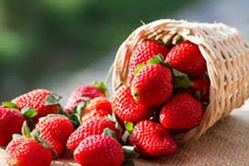 Fresh Strawberry
