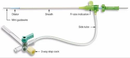 Radifocus Introducer Sheath