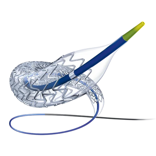 PROMUS Element Plus Everolimus-Eluting Platinum Chromium Coronary Stent System - Boston Scientific