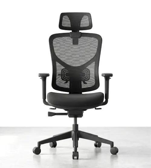 Ergonomic-Office.jpg