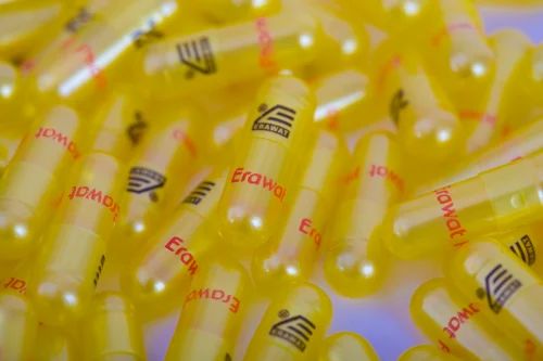 Empty Hard Gelatin Printed Capsules