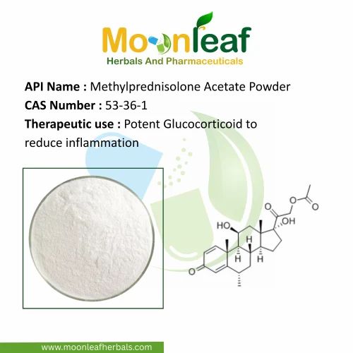 Methylprednisolone Acetate Raw Powder, USP Grade