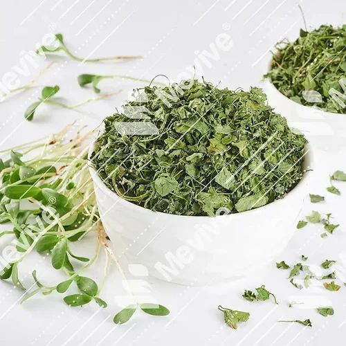 Packaging Size: 5 Kg Dried Kasuri Methi Leaves