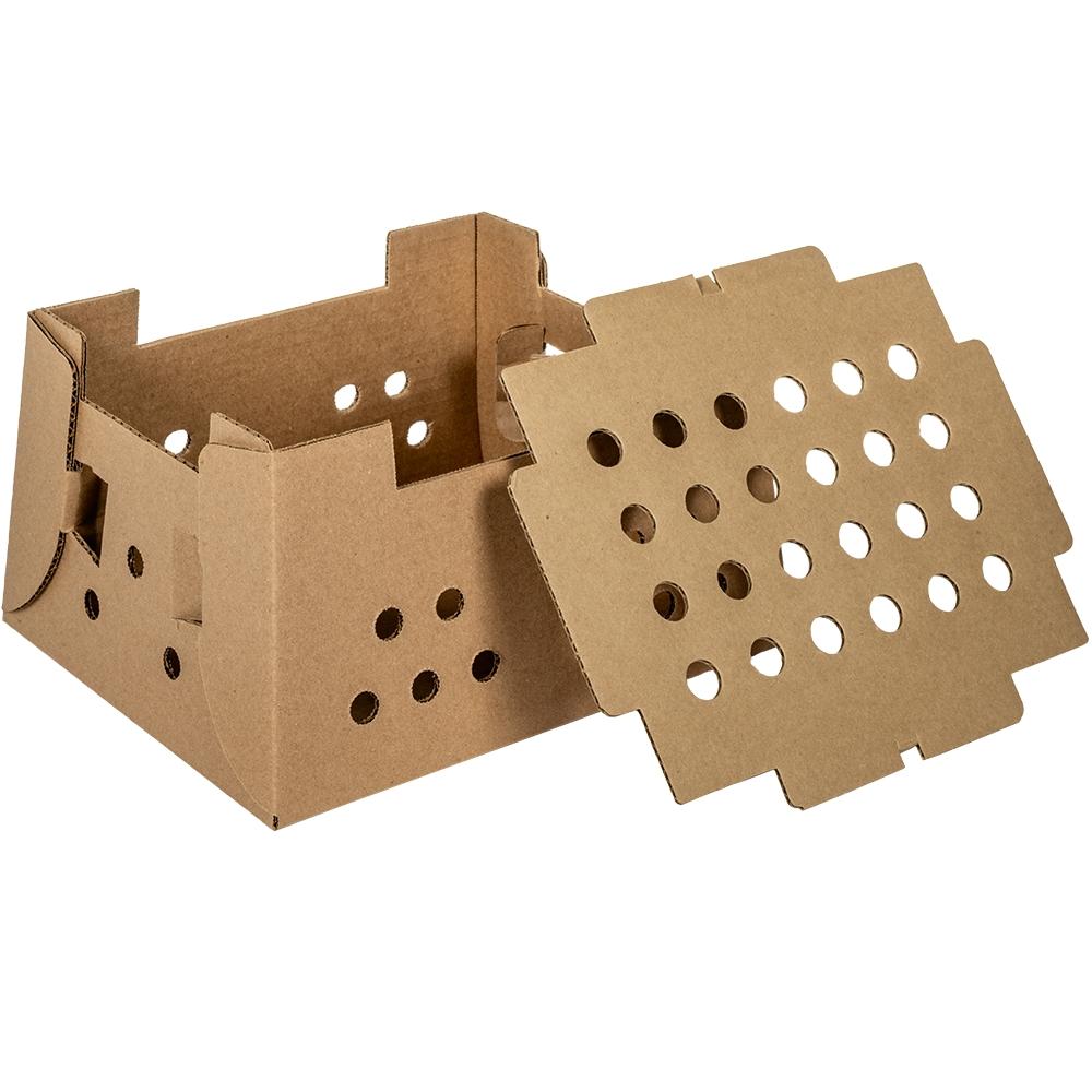 Cardboard Corrugated Chick Box