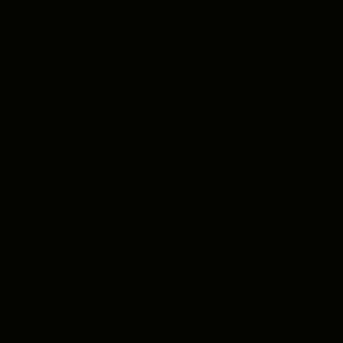 Black NT