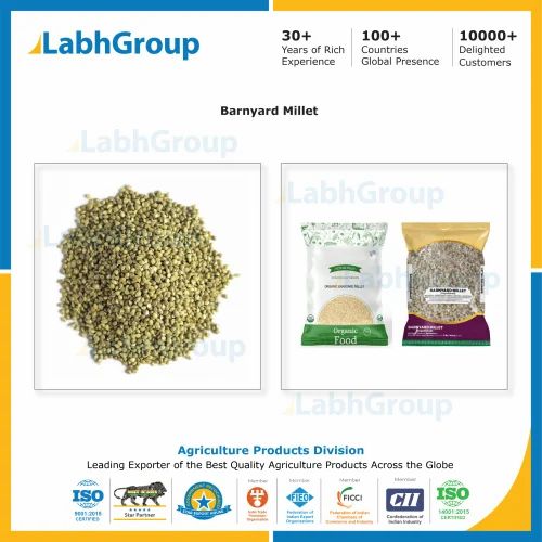 Barnyard Millet for Food Industry - Labh Group (25 kg bags, 5 kg retail packs, or bulk packaging)