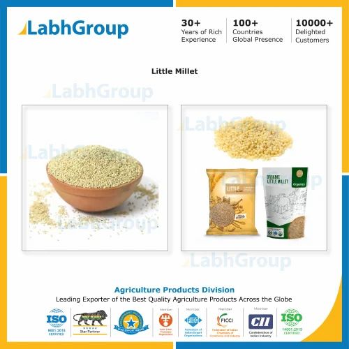Yellow Organic Little Millet Rice - Labh Group