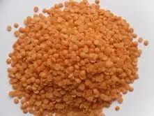 Aaha Impex 12 Month Organic Red Lentil, Packaging Size: 1 Kg