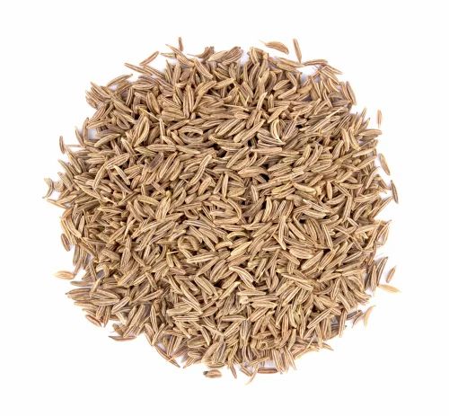 Cumin Seeds Europe 99