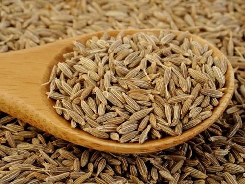 Cumin Seeds Medium Europe