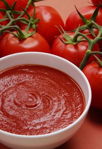 Fresh Tomato Paste, Packaging Size: 100 g