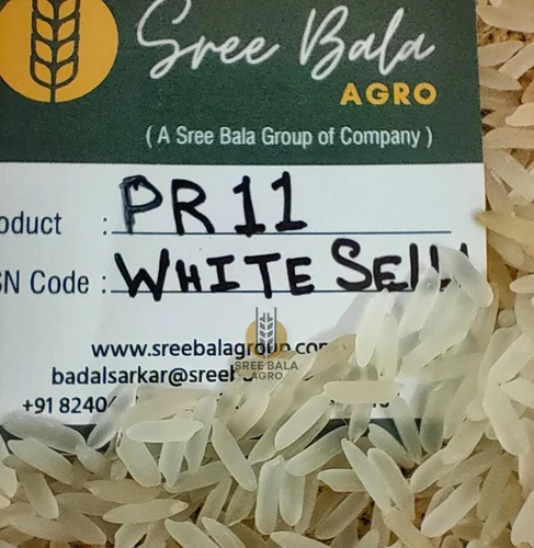 Non Basmati Pr 11 Rice