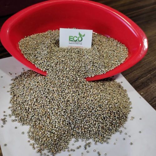 Green Millet Bajra