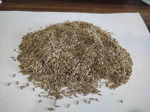 Indian Whole Spices Cumin Bold Quality