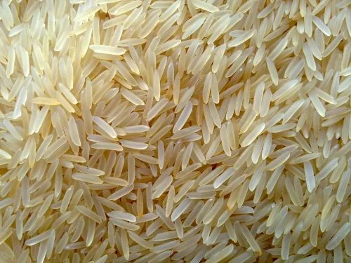 Extra Long Grain 1509 White Sella Basmati Rice, 10 to 50 Kg, Average Grain Length (Agl): 8.40 mm